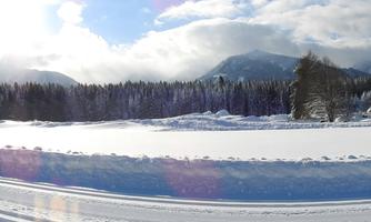 A snowy landscape with gentle hills and a clear blue sky. In the background, trees and a few houses can be seen.