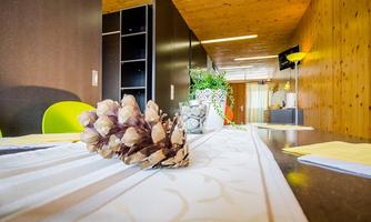A modern furnished room with a table on which a large pine cone and plants are placed. In the background, wooden walls and a bright window front are visible.