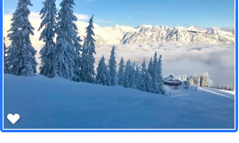 A beautiful winter landscape with snow-covered trees and mountains in the background. The sky is clear and blue.