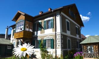 A charming house with wooden siding and green shutters. In the foreground, a large daisy is blooming and there is a clear blue sky visible.
