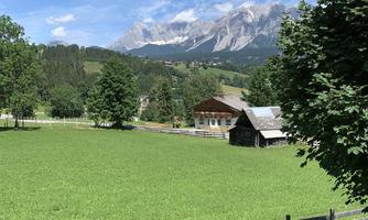 An idyllic landscape with lush green grass and a view of snow-capped mountains. In the foreground, there are trees and a wooden barn.