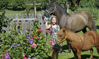 A girl stands between two ponies in a blooming garden. In the background, there is a wooden fence and green meadows.