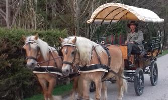 A horse team pulls a carriage on a quiet road. In the background, trees can be seen, emphasizing the rural atmosphere.