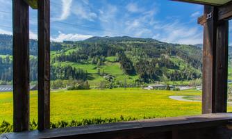 A beautiful view of green hills and meadows full of dandelions. The sky is bluish with some clouds.