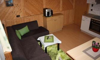 A cozy living room with a dark sofa and a green cushion. The room has wooden paneling and a modern kitchenette.