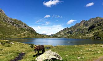 A tranquil mountain lake surrounded by green meadows and majestic mountains. In the foreground, a horse stands next to a large rock.
