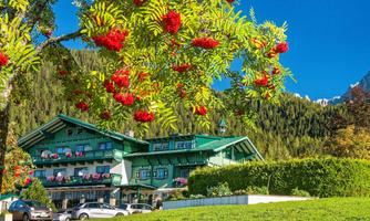 A picturesque hotel surrounded by green grass and colorful red berries. In the background, mountains and a bright blue sky can be seen.