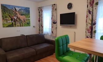 A cozy living room with a gray sofa and a table. On the wall hangs a picture of donkeys, and there is a TV as well as colorful curtains.