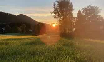 A picturesque sunset over a meadow with green grass. In the background, hills and trees can be seen.
