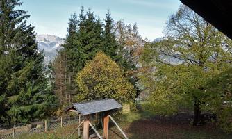 A playground with a swing, surrounded by tall trees and a picturesque landscape. In the background, gentle mountains and a clear sky are visible.