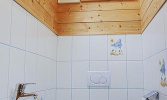 A small, modern bathroom with wooden paneling and a skylight. It features a sink, a toilet, and decorative pictures on the walls.