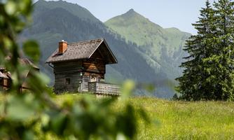 A charming wooden house stands in a green meadow with mountains in the background. The landscape is sunny and idyllic.