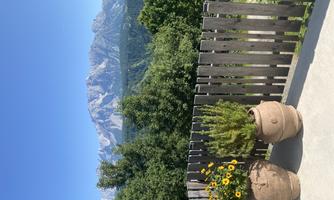 Direct view of the Dachstein from the Trinker Country House