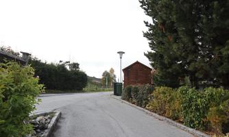 A quiet street with trees on both sides. On the left side, there is a wooden house next to a trash container.