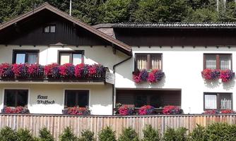 A charming house with white walls and a dark roof. Colorful flower boxes with red and purple flowers hang over the windows.