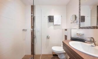 A modern bathroom with a shower and an elegant sink. The walls are painted in light shades, and there are practical towel holders.