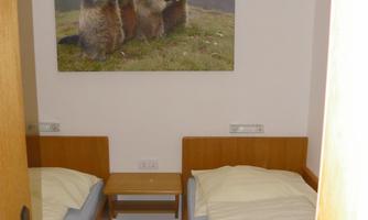A simple room with two single beds and a carpet. On the wall hangs a picture of mongooses in nature.