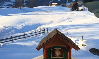 A snowy landscape picture with gentle hills and a small wooden birdhouse in the foreground. A bird is sitting in the birdhouse and looking out at the landscape.