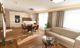 A modern living room with a bright, open kitchen. The space is friendly furnished and has large windows with plenty of daylight.