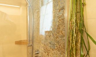 A modern shower with an elegant glass wall and a showerhead. Green plants hang on the side, and there are two wooden shelves.