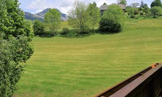 A picturesque meadow with fresh green grass and trees in the background. Soft hills and a blue sky can be seen in the background.