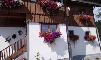 A charming house with wooden cladding and colorful flower boxes. The windows are decorated with blooming plants that create an inviting atmosphere.
