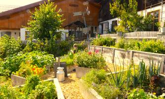 A beautiful garden with various plants and flowers. In the background, a wooden house can be seen.