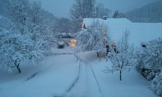 A snowy landscape with snow-covered trees and a house. The surroundings are quiet and dreamy, with a gentle glow of light in the background.