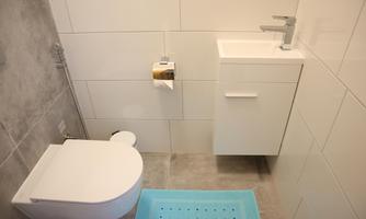 A modern bathroom with a white toilet and a sink. The floor is equipped with a blue carpet.