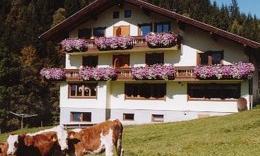 A traditional farmhouse with flower boxes on the windows stands on a meadow. In the foreground, two cows can be seen.