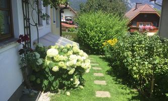 A beautiful garden path with blooming hydrangeas and radiant green. In the background, mountains and traditional houses are visible.