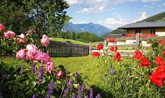A beautiful garden with colorful flowers and a picturesque view of the mountains. The sun is shining and the sky is clear.
