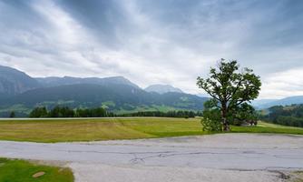 A vast landscape with a lonely tree in front of a green meadow. Cloudy mountains can be seen in the background.