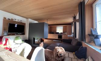 A modern living room with wooden ceilings and cozy furnishings. A dog stands in the foreground and looks at the camera.