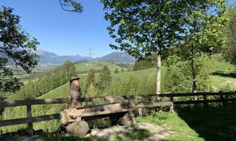 An idyllic landscape with gentle hills and trees. In the foreground, there is a wooden bench in front of a fence.