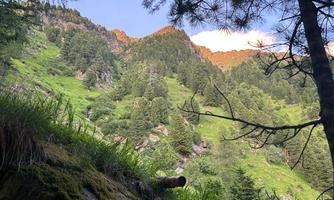 A green mountain landscape with trees and a radiant sky. The steep mountain slopes are covered with lush vegetation.