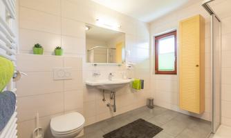 A modern bathroom with bright tiles and a large mirror. There is a shower, a sink, and decorative plants on the windowsill.