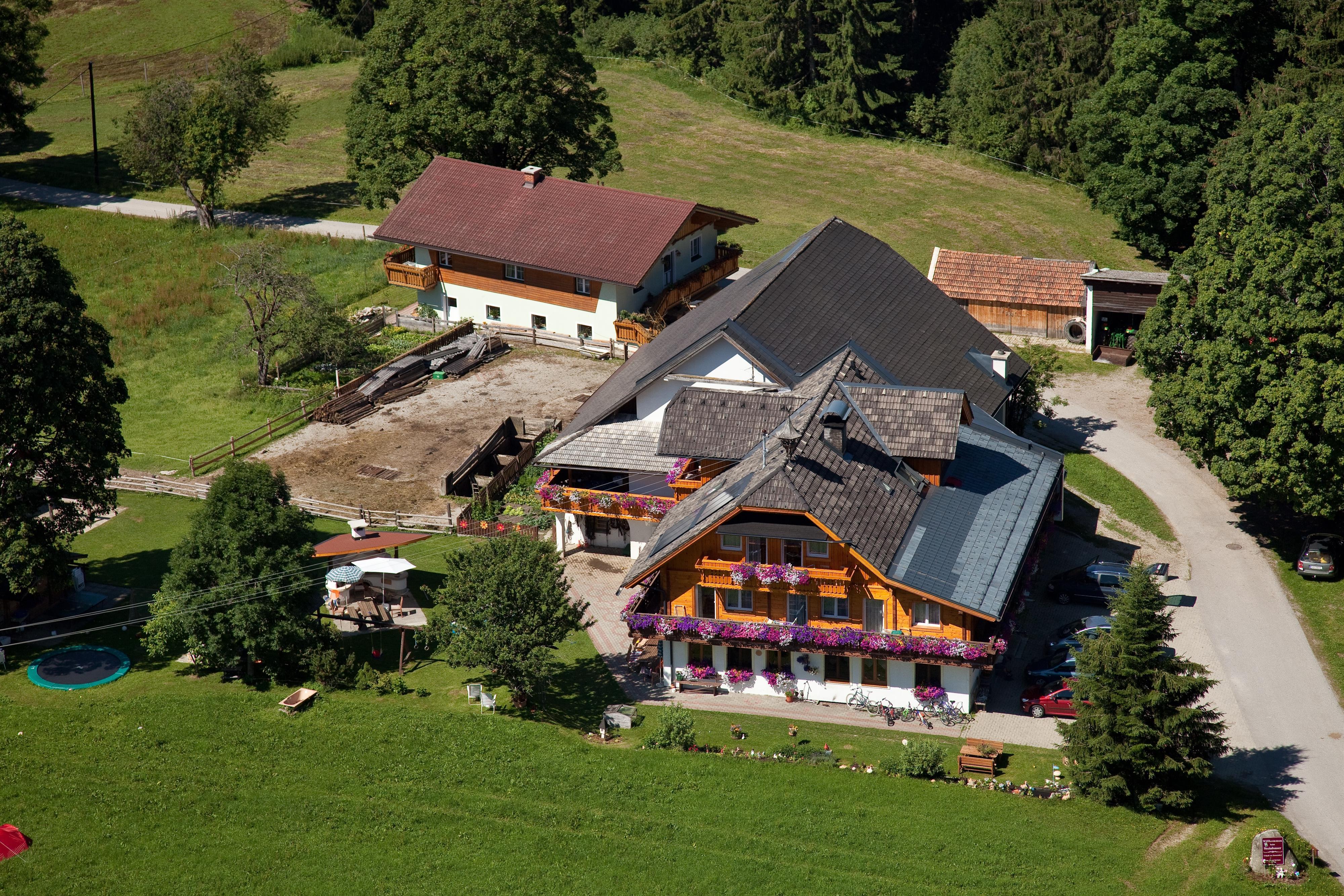 Steinbauer