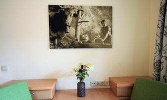 A simple room with a table and two chairs in green. On the wall hangs a black-and-white picture of a man and a cow in a rural setting.