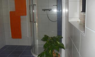 A modern bathroom with a shower corner and orange towels. A potted plant stands on the floor, adding a fresh accent to the space.