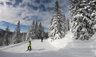 A snow-covered path in the mountains with tall, green fir trees. Two people are enjoying the winter landscape.