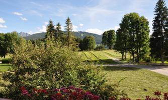 A beautiful landscape with green meadows and tall trees in the background. The sky is blue with some white clouds.