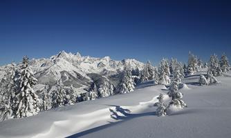 A wintry landscape with snow-covered mountains and tall, frosty trees. The sky is clear and bright blue.