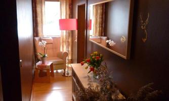 A narrow hallway with dark walls and a light wooden floor. There is a mirror, a lamp, and decorative plants.