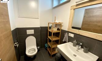 A modern bathroom with a toilet and a sink. There is a wooden shelf and a large window pane that provides daylight.