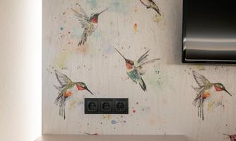 A modern room with a wall showcasing colorful hummingbirds. Below it, there is a simple cabinet and a television on the wall.