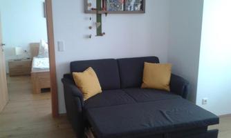 A modern living room with a sofa bed and two yellow cushions. In the background, there is a sleeping area with a bed and subtle wall decorations.
