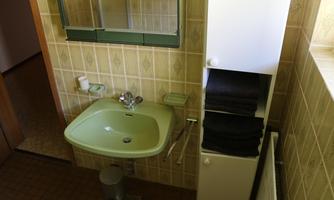 A simple bathroom with a green sink and a large mirror. Towels are neatly stacked on a shelving system.