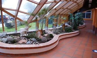 A beautiful interior with a plant landscape.  
Large windows provide plenty of light and a pleasant atmosphere.