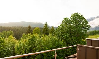 A beautiful view of green trees and mountains in the background. The atmosphere is calm and natural.